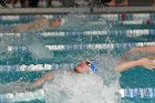 Swimming vs Babson  Wheaton College Swimming & Diving vs Babson College. - Photo By: KEITH NORDSTROM : Wheaton, Swimming